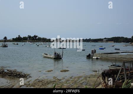 Vue sur l'Ile de Boedic depuis le sentier côtier depuis la rue de Boedic, Sene, vannes, Morbihan, Bretagne, France Banque D'Images