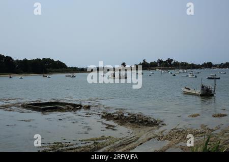 Vue sur l'Ile de Boedic depuis la côte proche de la rue de Boedic, Langle, Sene, vannes, Morbihan, Bretagne, France Banque D'Images