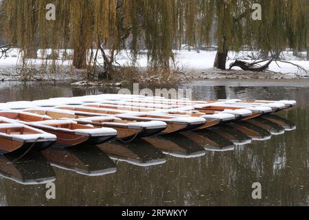 Punts tous dans une rangée couverte de neige, étang Mill, River Cam, Cambridge Banque D'Images