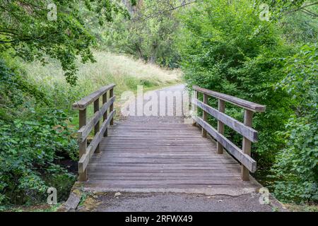 Petit pont sur un ruisseau avec un chemin piétonnier menant à la réserve naturelle, plate-forme de planches en bois, arbres feuillus abondants en arrière-plan, été ensoleillé Banque D'Images