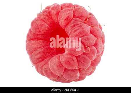 Un fruit framboise frais isolé dans le fond blanc. Baies isolées. Nourriture saine. Le fichier contient un chemin de détourage. Profondeur de champ totale. Banque D'Images