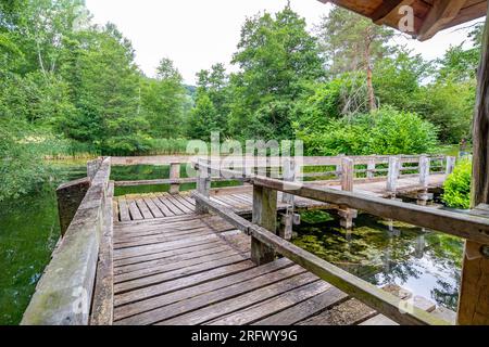 Passage en bois d'un pont menant au gazebo au-dessus des eaux d'un étang, arbres feuillus sur fond brumeux, réflexion sur la surface de l'eau, journée nuageuse d'été dans Banque D'Images