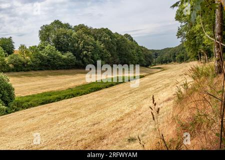 Plaine ouverte pour l'agriculture avec des arbres luxuriants dans la réserve naturelle en arrière-plan, session sèche en raison du changement climatique, sentier de randonnée Wallfhärte Weidingen à UT Banque D'Images