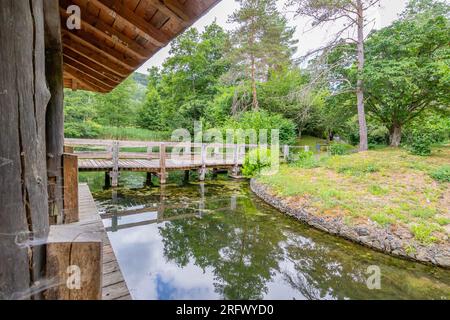 Étang avec un pont menant au gazebo au-dessus des eaux, arbres verts feuillus en arrière-plan, réflexion sur la surface de l'eau, journée nuageuse d'été dans Echternach Lake P Banque D'Images