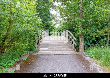 Chemin piétonnier menant à un pont en arc au-dessus d'un ruisseau, plate-forme voûtée de planches de bois, arbres feuillus abondants avec feuillage en arrière-plan, summ ensoleillé Banque D'Images