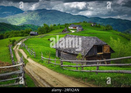 Pâturages verts et jardins avec granges en bois sur les collines, Transylvanie, Roumanie, Europe Banque D'Images