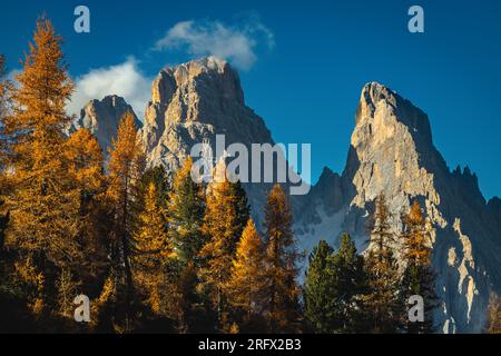 Majestueux paysage alpin d'automne avec forêt colorée de séquoias et pittoresques mélèzes jaunes. Forêt de pins et hautes falaises, col de montagne de Tre Croci Banque D'Images