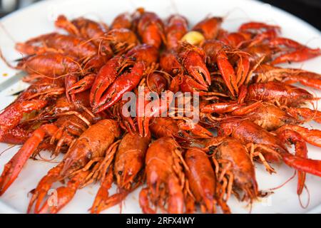 Fuyang, Chine. 06 août 2023. Les homards cuits sont servis sur une assiette à Fuyang. Le homard braisé est une spécialité estivale populaire en Chine, un ingrédient émergent dont la popularité n’a explosé qu’au cours des 20 dernières années. Crédit : SOPA Images Limited/Alamy Live News Banque D'Images