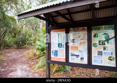 Lac Wabby sur Fraser Island K'gari, office d'information touristique et touristique sur le lac, la faune et la rencontre des animaux dingo, Queensland, Australie Banque D'Images