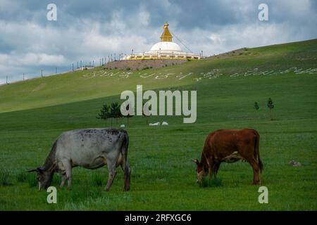 Erdenet, Mongolie - 18 juillet 2023 : stupa au monastère Amarbayasgalant dans la province de Selenge, Erdenet, Mongolie. Banque D'Images