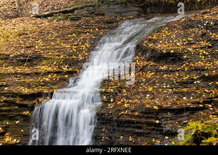 Une chute d'eau dans le parc national Buttermilk Falls à Ithaca New york au début de l'automne. Banque D'Images