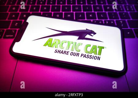 Chine. 06 août 2023. Sur cette photo, le logo Arctic Cat est affiché sur l'écran d'un smartphone. Le logo Arctic Cat est assez propre et mémorable. Le chat noir dynamique et dynamique est une excellente représentation des valeurs fondamentales de l'entreprise. Crédit : SOPA Images Limited/Alamy Live News Banque D'Images