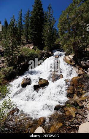 Glass Creek Meadow, Mammoth Lakes, CA, États-Unis. 5 août 2023. Une scène de cascade du sentier de randonnée Glass Creek près de Mammoth Lakes, CA. Banque D'Images