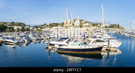 Torquay Devon Torbay Yachts et bateaux de luxe amarrés à Torquay Marina Torquay Devon Riviera anglaise Angleterre GB Europe Banque D'Images