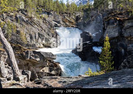 À la gorge Ridderspranget par la rivière Sjoa à Sjodalen.l'eau de neige tonnerre fait son chemin à travers le canyon. Randsverk, Innlandet, Norvège Banque D'Images