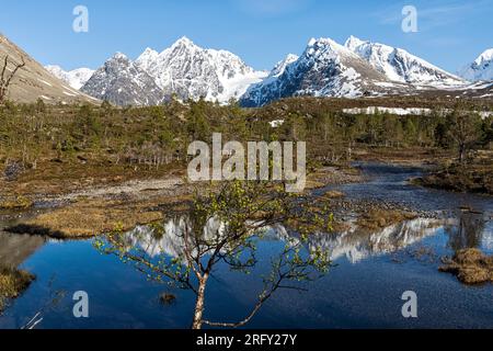 Au début de la randonnée vers Blåisvatnet, le Lac Bleu. Les montagnes enneigées se reflètent dans l'eau de la rivière. Lyngen Alps, Lyngen, Norvège Banque D'Images