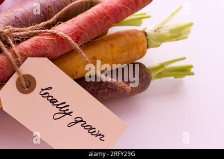 Des légumes bio Banque D'Images