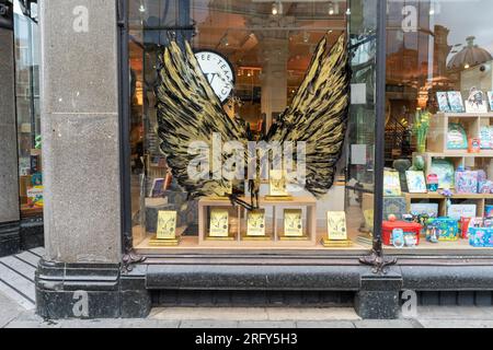 Œuvre peinte sur la vitrine d'une librairie Waterstones, à Newcastle upon Tyne, Royaume-Uni, pour promouvoir le livre Skellig de David Almond Banque D'Images