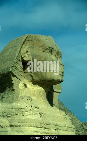 Le monument du Sphinx devant les pyramides de gizeh près de la ville du Caire à la capitale de l'Egypte en afrique du Nord. Égypte, le Caire, mars 2000 Banque D'Images