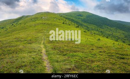 chemin raide en haut de la colline. paysage de montagne de carpathian en été. difficile de réussir concept Banque D'Images