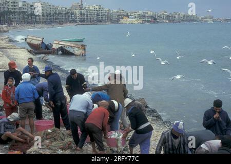 Pêcheurs sur la côte à la route al Corniche dans la ville d'Alexandrie sur la mer Méditerranée en Egypte en Afrique du Nord. Égypte, Alexandrie, mars, Banque D'Images