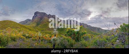 Stirling Range ou paysage de Koikyennuruff, magnifique parc national de montagne en Australie occidentale, avec le plus haut sommet Bluff Knoll. Panoramat Banque D'Images