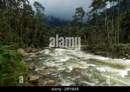 Équateur - Papallacta Rio Quijos, rivière puissante en Amérique du Sud, ruisseau d'eau sauvage d'ANDS à la plaine amazonienne ou plaine, paysage de la pluie Banque D'Images