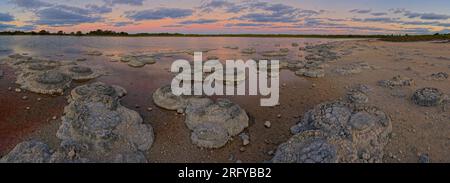 Lac Thetis - lac côtier salin en Australie occidentale près de la ville de Cervantes, sur une chaussée calcaire quaternaire, stromatolites marines vivantes, benthique m Banque D'Images