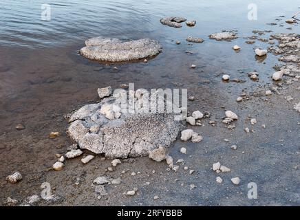 Lac Thetis - lac côtier salin en Australie occidentale près de la ville de Cervantes, sur une chaussée calcaire quaternaire, stromatolites marines vivantes, benthique m Banque D'Images