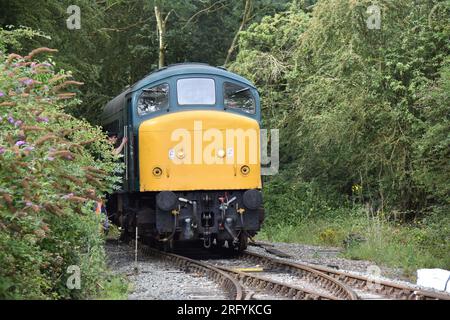 Class 45 no 45041 'Royal Tank Regiment' à Nene Valley Railway le 30 juillet 2023 Banque D'Images