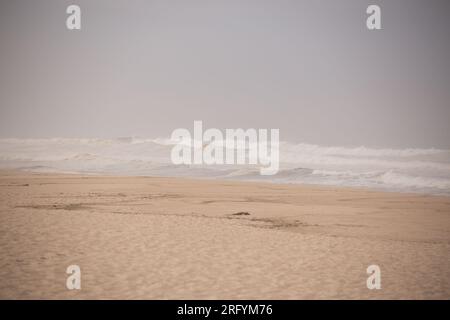 Au milieu de la beauté indomptée des dunes balayées par le vent, la tempête féroce de la nature danse avec la mer, créant une symphonie fascinante de puissance et de grâce le long du fleuve Banque D'Images