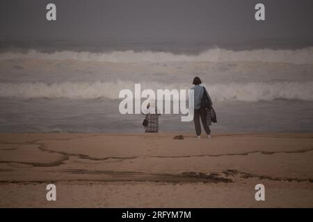 Au milieu de la beauté indomptée des dunes balayées par le vent, la tempête féroce de la nature danse avec la mer, créant une symphonie fascinante de puissance et de grâce le long du fleuve Banque D'Images