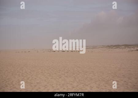 Au milieu de la beauté indomptée des dunes balayées par le vent, la tempête féroce de la nature danse avec la mer, créant une symphonie fascinante de puissance et de grâce le long du fleuve Banque D'Images