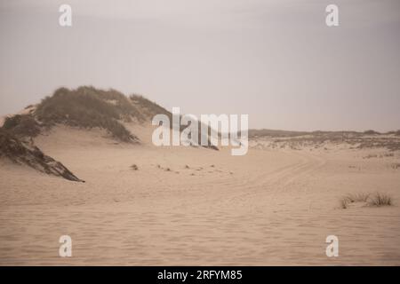 Au milieu de la beauté indomptée des dunes balayées par le vent, la tempête féroce de la nature danse avec la mer, créant une symphonie fascinante de puissance et de grâce le long du fleuve Banque D'Images