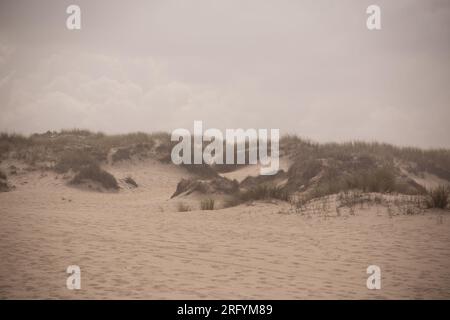 Au milieu de la beauté indomptée des dunes balayées par le vent, la tempête féroce de la nature danse avec la mer, créant une symphonie fascinante de puissance et de grâce le long du fleuve Banque D'Images