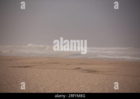 Au milieu de la beauté indomptée des dunes balayées par le vent, la tempête féroce de la nature danse avec la mer, créant une symphonie fascinante de puissance et de grâce le long du fleuve Banque D'Images