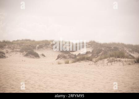 Au milieu de la beauté indomptée des dunes balayées par le vent, la tempête féroce de la nature danse avec la mer, créant une symphonie fascinante de puissance et de grâce le long du fleuve Banque D'Images