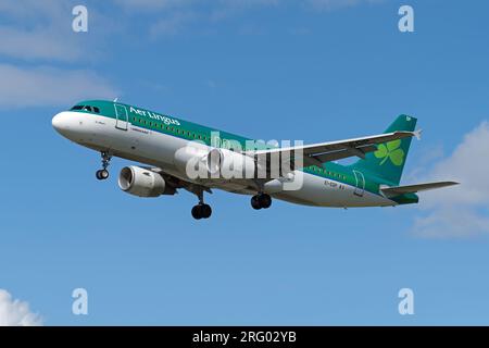 AER Lingus Airbus A320 atterrissant à l'aéroport de Londres Heathrow par une journée ensoleillée. Londres - 6 août 2023 Banque D'Images