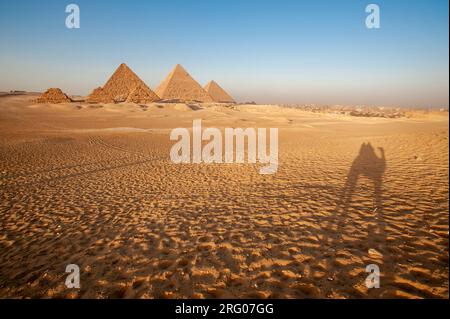 Afrique, Egypte, Gizeh. Un chameau jette une ombre dans le désert sur les pyramides de Gizeh. Banque D'Images