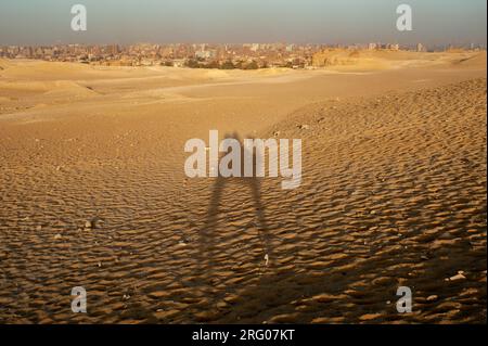 Afrique, Egypte, Gizeh. Un chameau jette une ombre dans le désert sur les pyramides de Gizeh. Banque D'Images