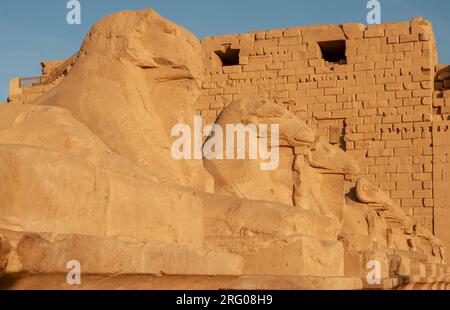 Afrique, Egypte, Louxor. Vue rapprochée des statues de la Vallée des Rois au lever du soleil. Banque D'Images