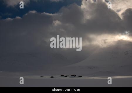 Cabanes de montagne de Salka sur le sentier de Kungsleden en avril, saison d'hiver, Laponie, Suède Banque D'Images