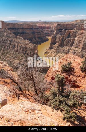 Yellowtail Canyon et Bighorn River de Devil Lookout sont situés dans la zone de loisirs nationale de Bighorn Canyon, qui fait partie du Montana et du Wyoming. Banque D'Images