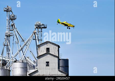 Earlville, Illinois, États-Unis. Un avion époussetant les récoltes dans une plongée approchant un champ de récoltes tout en passant très près d'un grand élévateur à grain. Banque D'Images