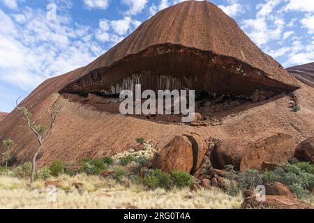 Kuniya Piti sur l'aspect sud-est d'Uluru, Uluru-Kata Tjuta National Park, territoire du Nord, Australie Banque D'Images