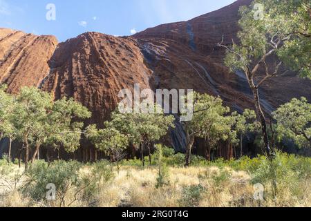 Kuniya Piti sur l'aspect sud-est d'Uluru, Uluru-Kata Tjuta National Park, territoire du Nord, Australie Banque D'Images