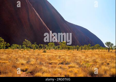 Pied d'Uluru à son extrémité nord-est tôt le matin. Parc national d'Uluru-Kata Tjuta, territoire du Nord, Australie Banque D'Images