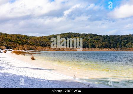 Lac Birrabeen, Fraser Island K'gari sur un ciel bleu hivers jour 2023, Queensland, Australie Banque D'Images