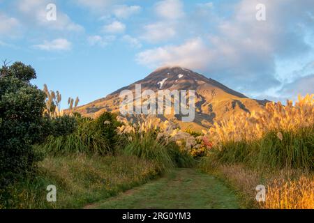 Mt Taranaki dans le parc national d'Egmont, Nouvelle-Zélande, en lumière du soir, vue depuis le centre d'accueil d'Egmont Banque D'Images