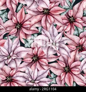 Modèle sans couture de fleurs de poinsettia, fleur d'étoile d'hiver. Eléments botaniques. Illustration aquarelle peinte à la main pour Noël ou nouvel an Banque D'Images